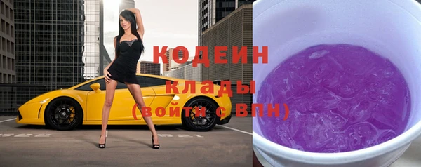 дживик Инта