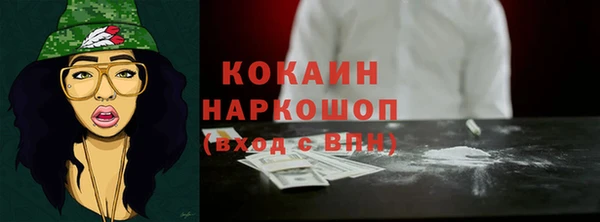 дживик Инта