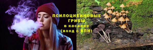 не бодяженный Инсар