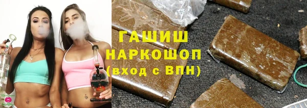 дживик Инта