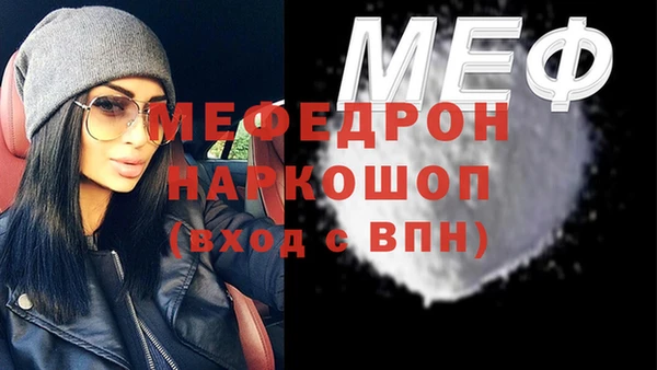 дживик Инта