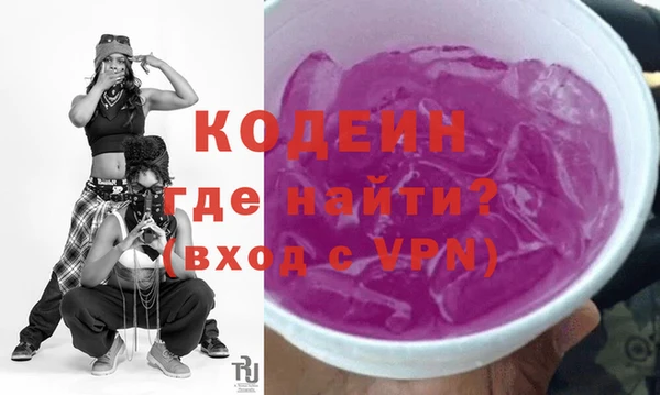 дживик Инта